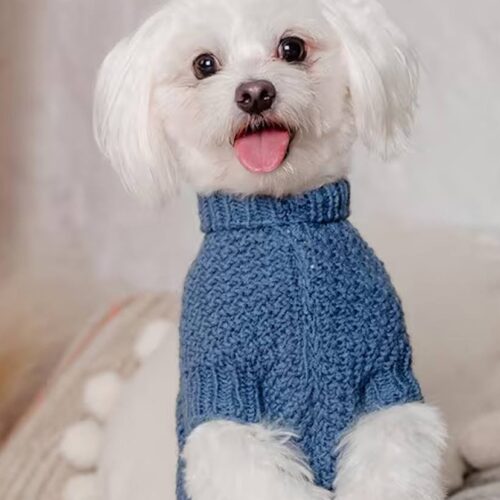 Najbolja hrana za pse – kako izabrati pravu ishranu