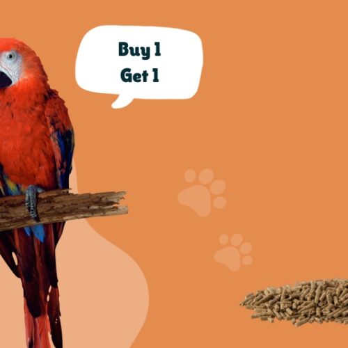 Kvalitetna hrana za ptice – kako pravilno hraniti ptice