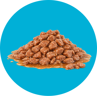 Vlažna hrana za mačke