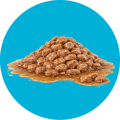 Vlažna hrana za pse